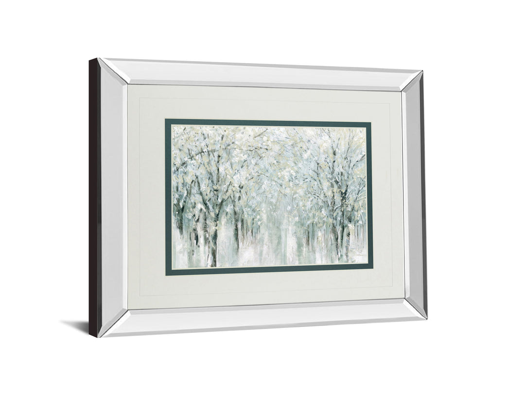 Winter Mist By Carol Robinson - Mirror Framed Print Wall Art - Gray