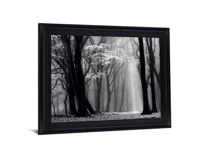 Silent Grove Shadows - 28" x 34" Framed Wall Art