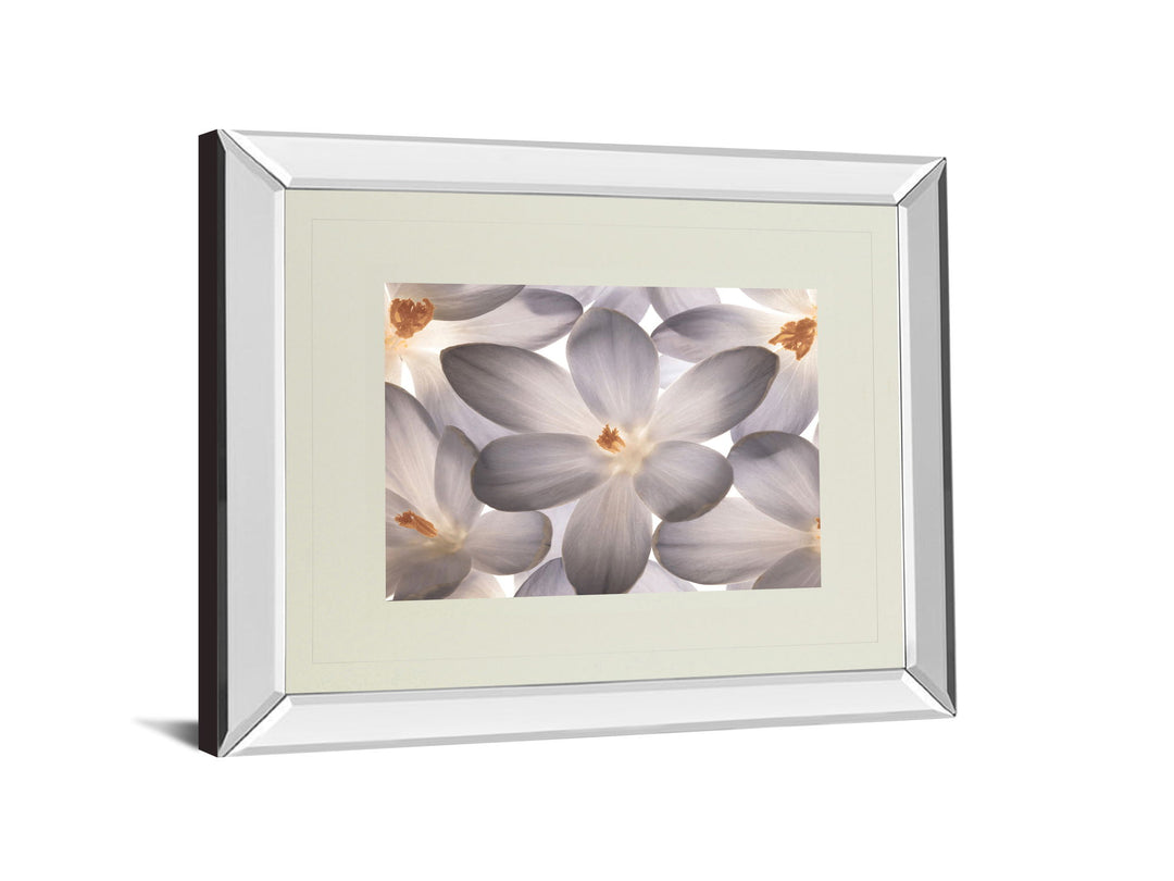 Petal Perfect By Assaf Frank - Mirror Framed Print Wall Art - Beige