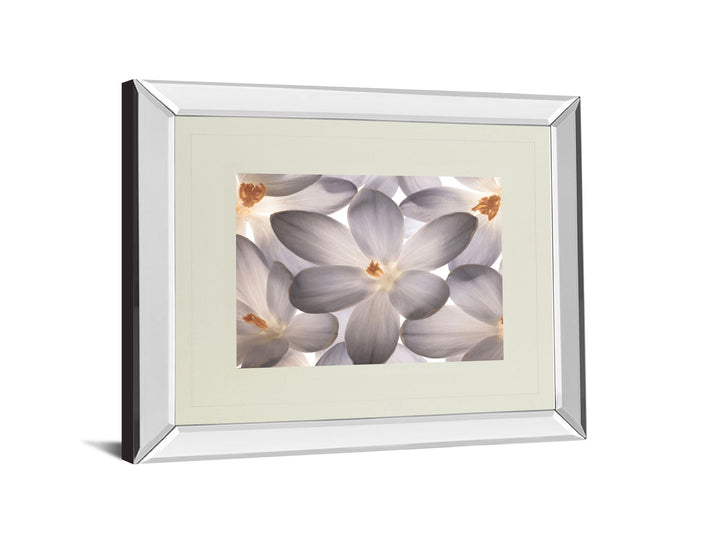 Petal Perfect By Assaf Frank - Mirror Framed Print Wall Art - Beige