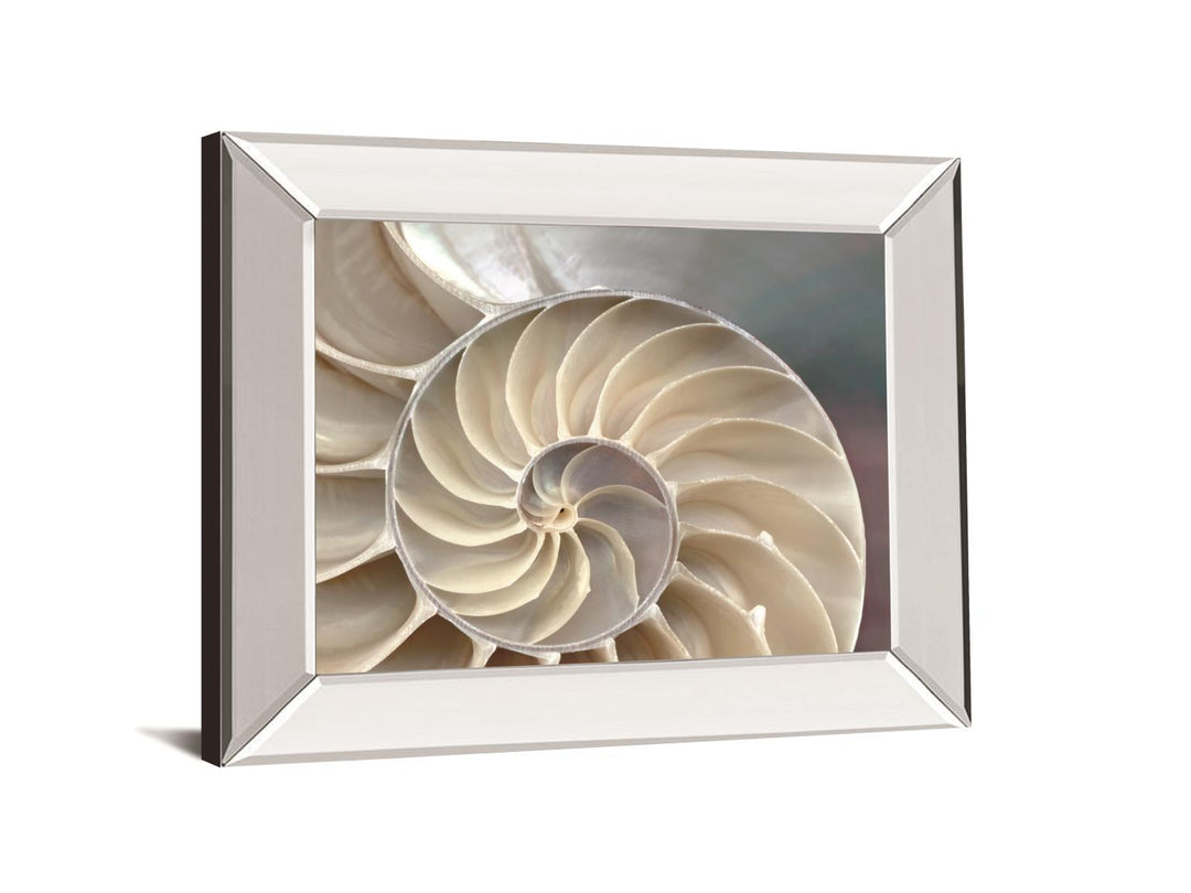 Nautilus By Levine, A. - Mirror Framed Print Wall Art - Beige