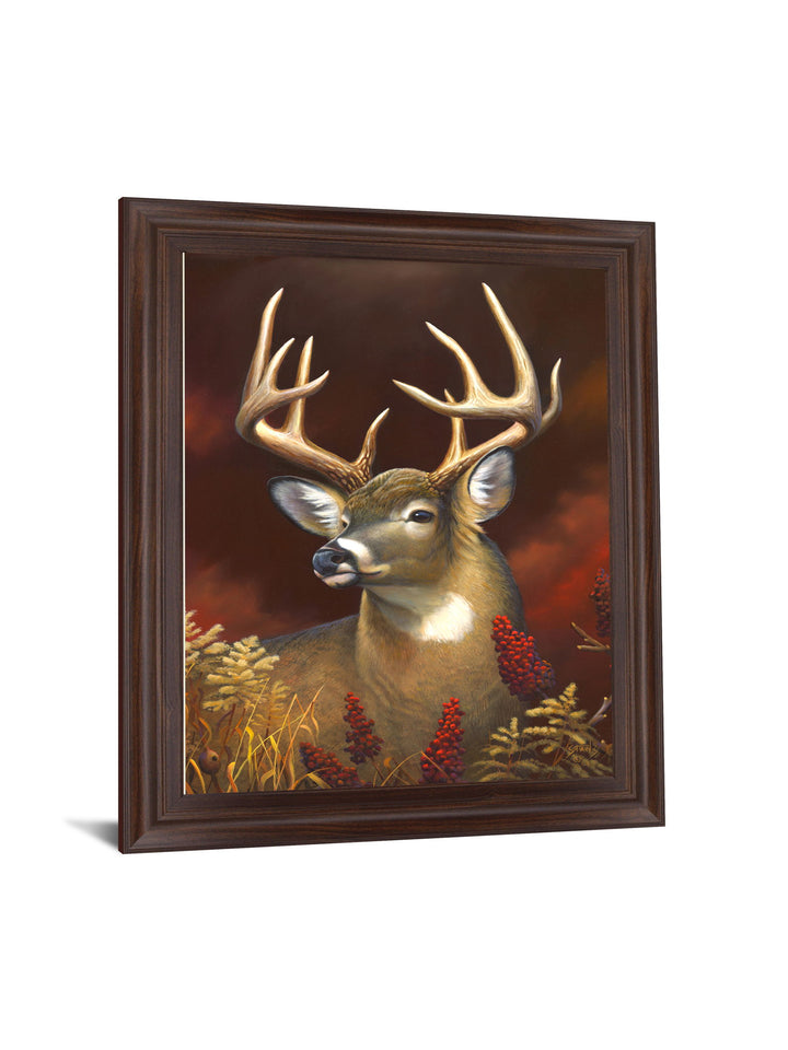 Crimson Meadow Stag - 28" x 34" Framed Wall Art