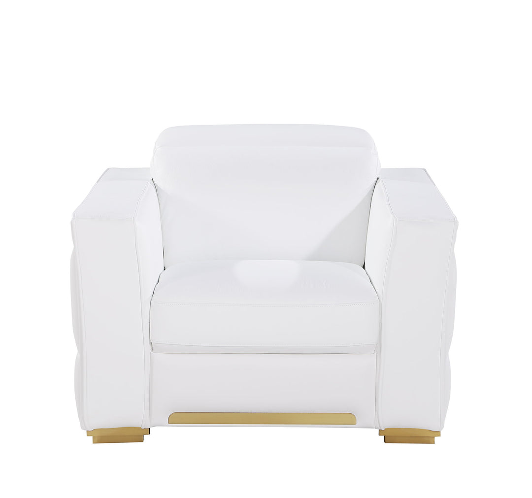 1120 - Leather Chair