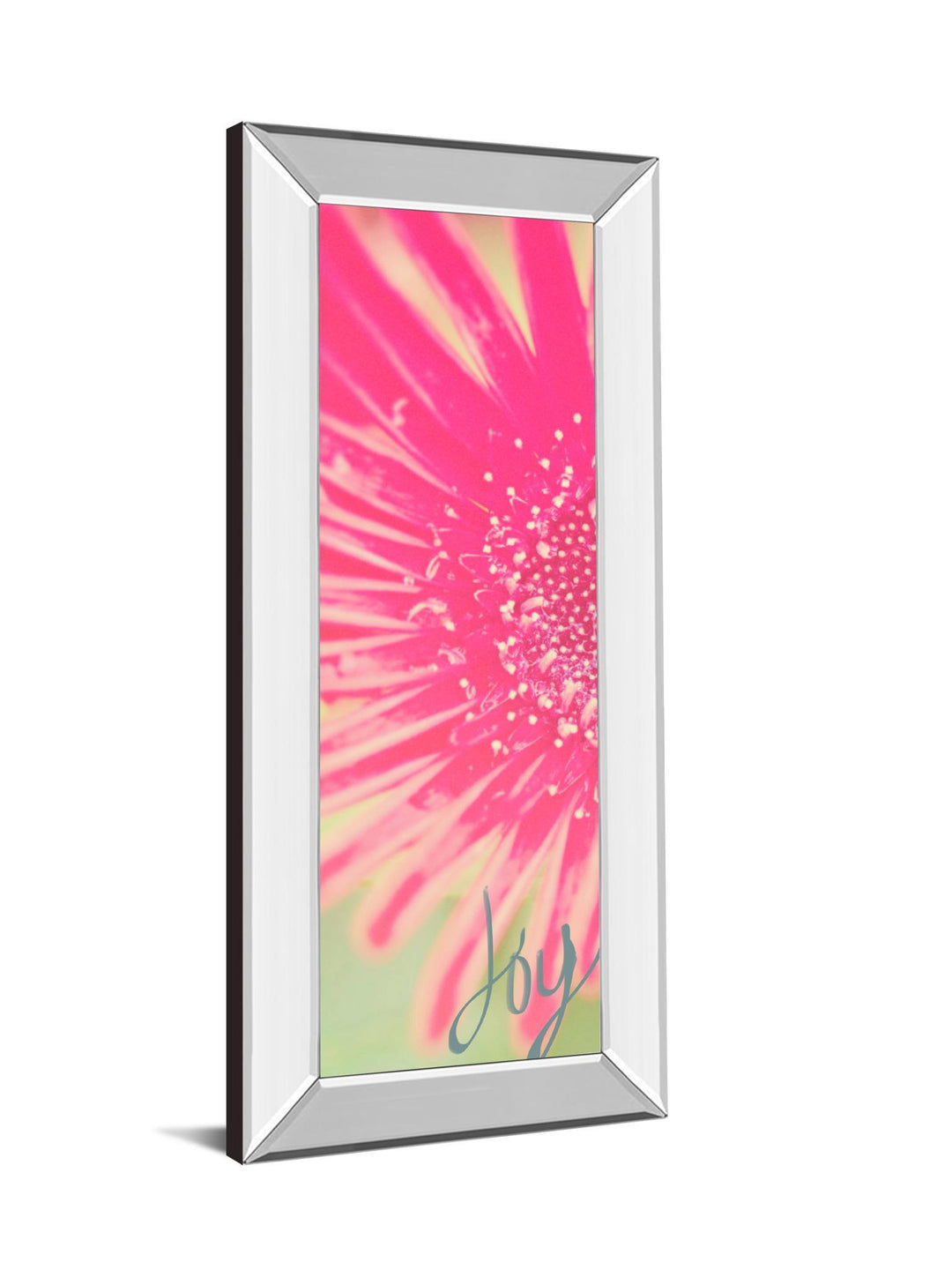 Joy Flower By Susan Bryant - Mirror Framed Print Wall Art - Pink