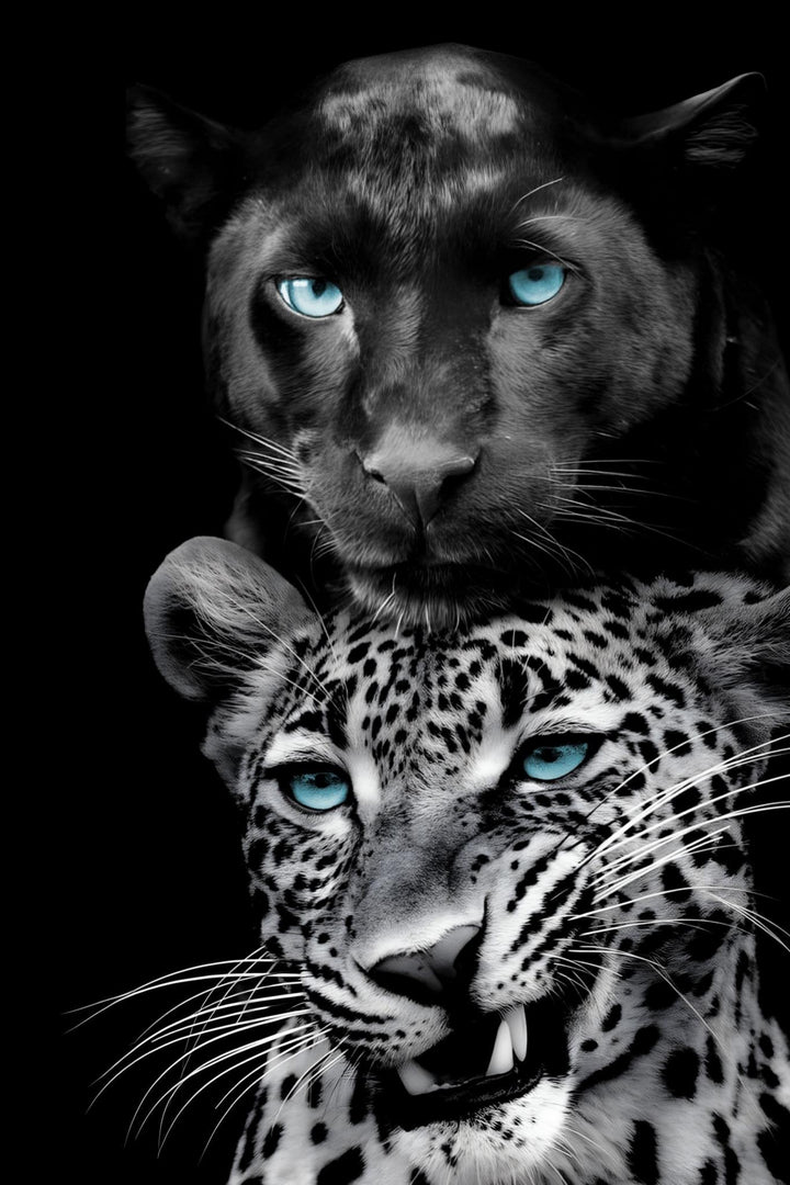 Azure Gaze Duo - 40" x 60" Framed Wall Art