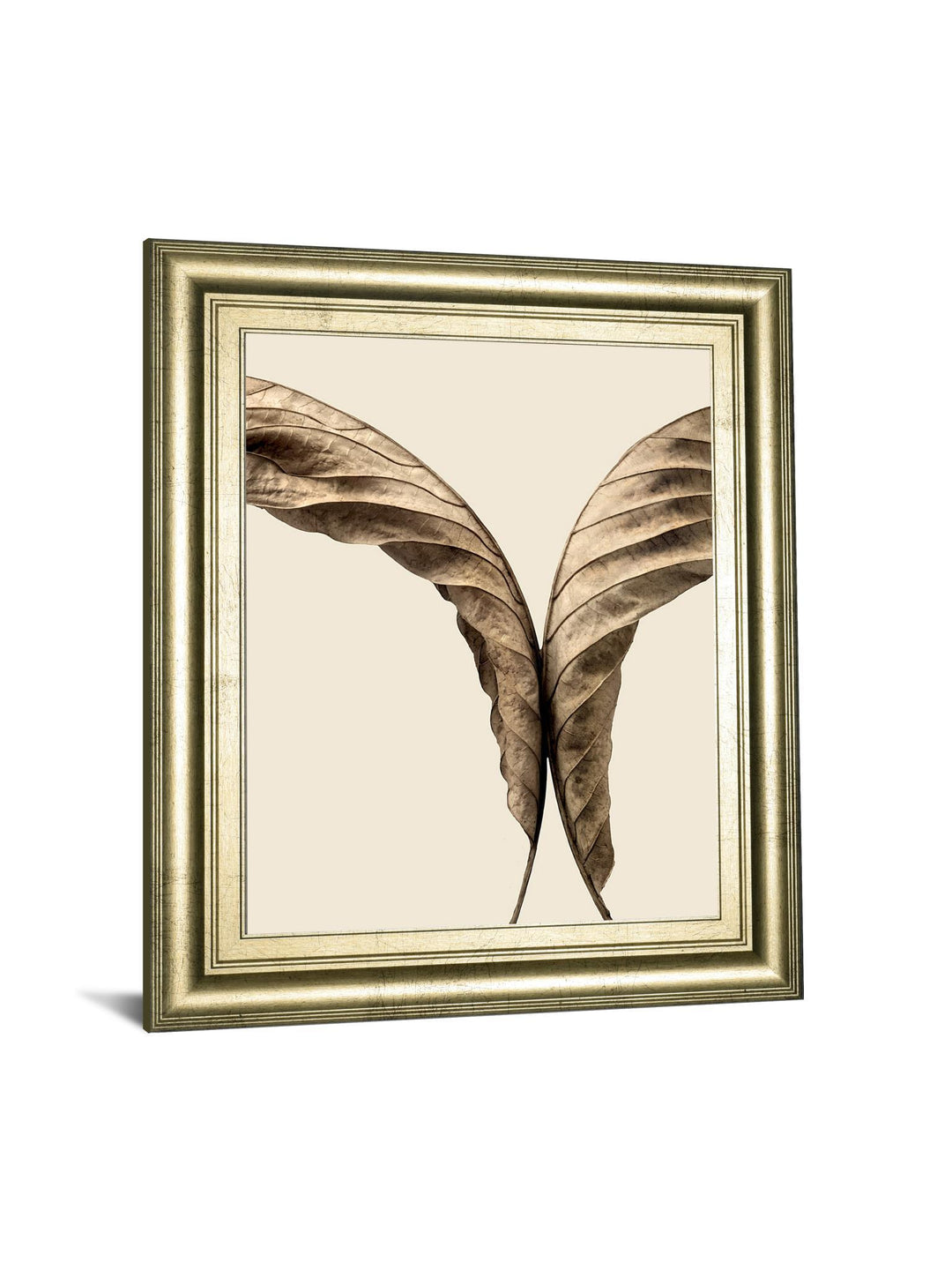 Turning Leaves Il By Jeff Friesen - Framed Print Wall Art - Dark Brown