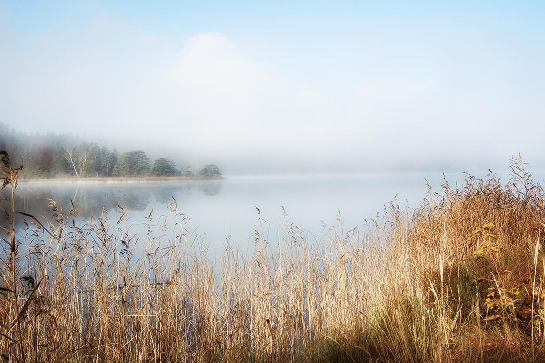 Enjoy Lovely Nature By Irene Weisz (Small) - Light Blue