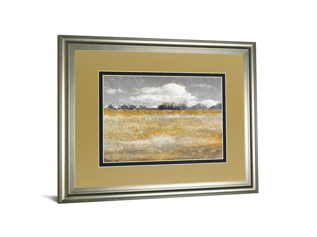 Meadow Shimmer Il By Nan - Framed Print Wall Art - Gold