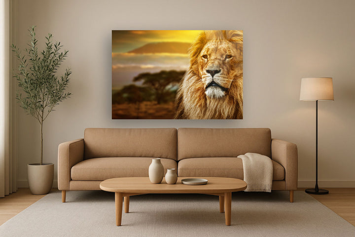 Tempered Glass With Foil - Lion Safari - Light Brown
