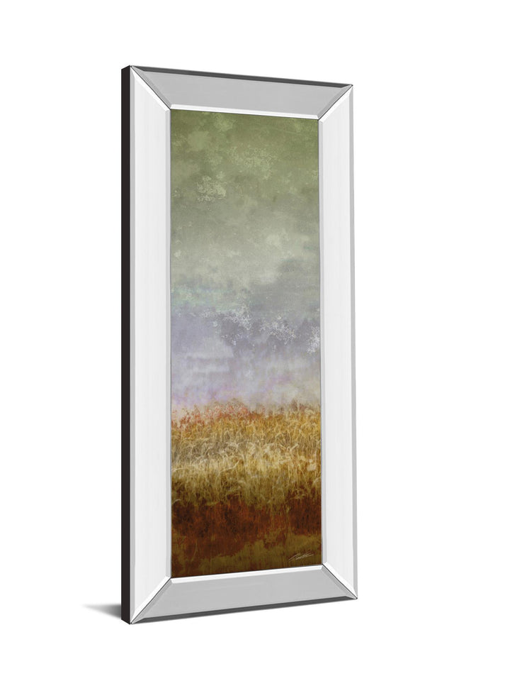 Lush Field Il By John Butler - Mirror Framed Print Wall Art - Dark Gray