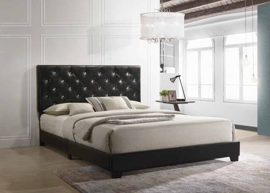 HH2020 - BLACK Full, Queen