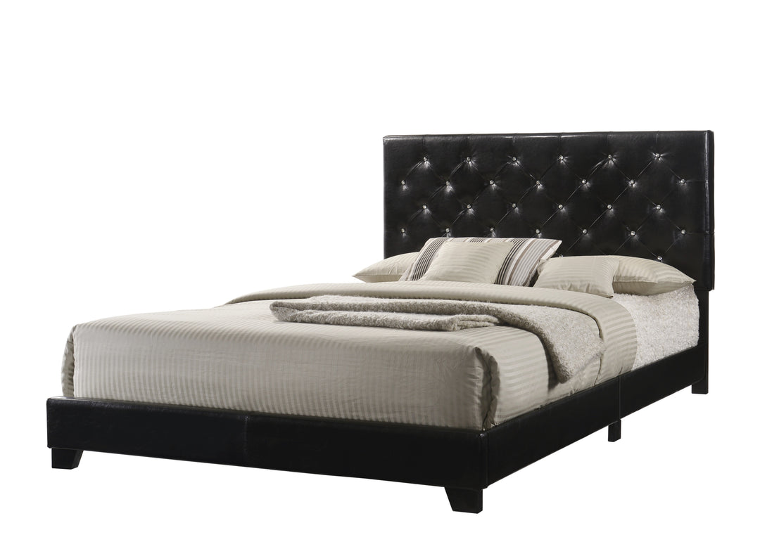 HH2020 - BLACK Full, Queen